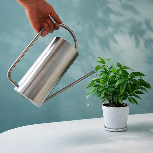 Stainless Steel Watering Can